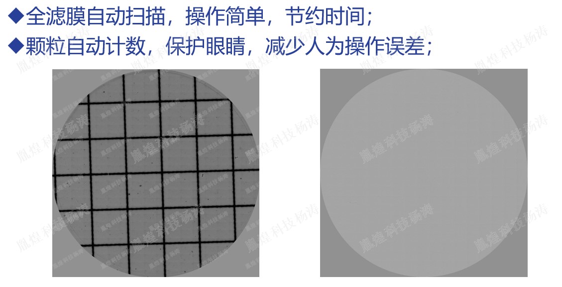 空白滤膜和格栅滤膜.jpg
