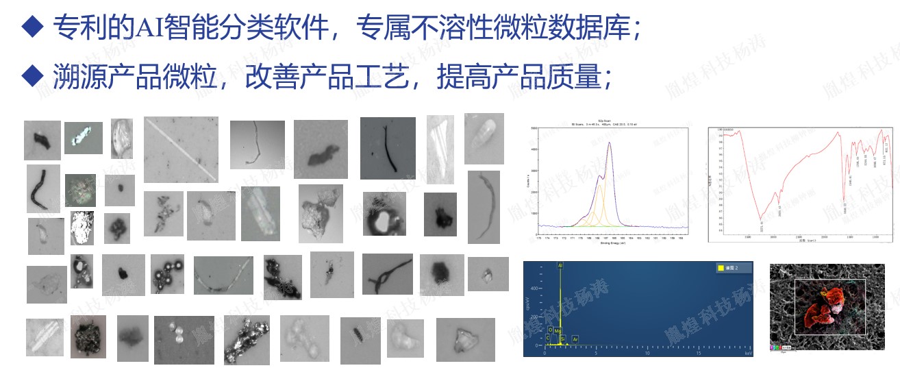 AI分类数据库.jpg